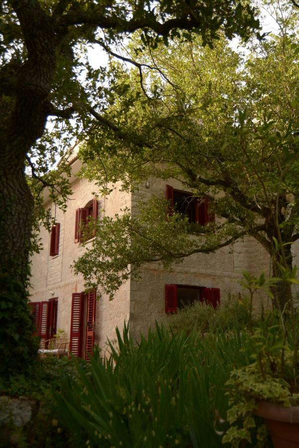 Par Tot Vendégház Locorotondo Kültér fotó